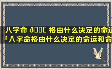 八字命 🐕 格由什么决定的命运「八字命格由什么决定的命运和命运」